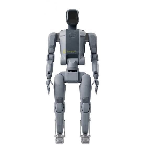 Persona Humanoid